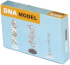 Продукт Gelsonlab Модел на ДНК снимка 2