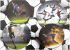  Herma Кош за отпадъци Football, картонен снимка 3
