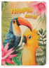 Gipta Тетрадка Tropic Notes, A4, бяла хартия, широки редове, картонена корица, 60 листа снимка 3