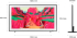 Телевизор Samsung The Frame Pro 75LS03FW Smart 4K Ultra HD 100Hz ( Up to 144Hz) Model 2025 снимка 3