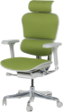 Ергономичен стол ERGOHUMAN ELITE 2 - сива рамка - зелен снимка 4