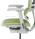 Ергономичен стол ERGOHUMAN ELITE 2 - сива рамка - зелен снимка 9