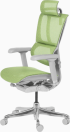Ергономичен стол ERGOHUMAN IOO ELITE 2 - сива рамка - зелен снимка 4