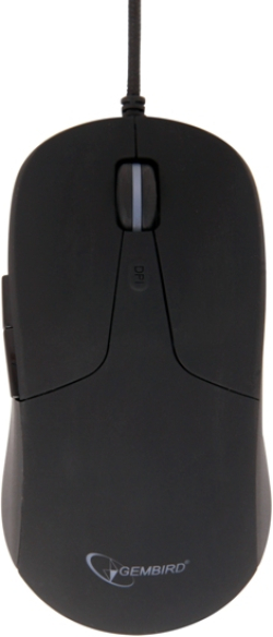 related-product-151764