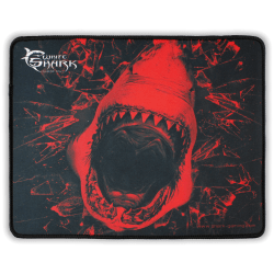 related-product-161899