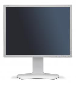 NEC-P212-White