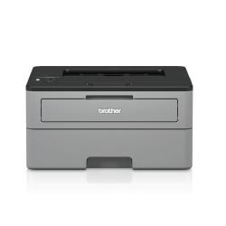 Принтер Brother HL-L2352DW Laser Printer