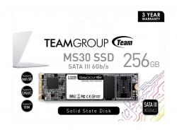 Хард диск / SSD Solid State Drive (SSD) Team Group MS30 M.2 2280 256GB SATA III 