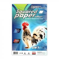 Хартия за принтер Unofax Карирана хартия, A4, офсет, 100 листа