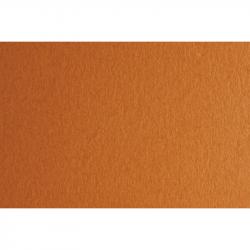 Fabriano Картон Colore, 50 x 70 cm, 140 g-m2, № 223, светлокафяв