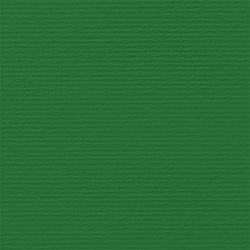 Канцеларски продукт Fabriano Картон Elle Erre, 70 x 100 cm, 220 g-m2, № 111, зелен