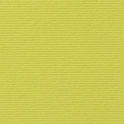 Канцеларски продукт Fabriano Картон Elle Erre, 70 x 100 cm, 220 g-m2, № 125, кедър
