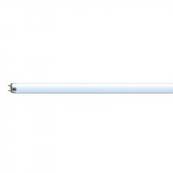 Продукт Osram Лампа G13, луминeсцентна, 36W, 60 cm