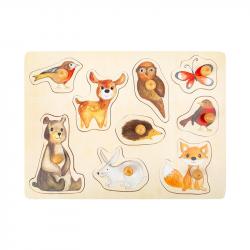 related-product-237682