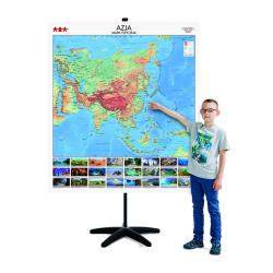 related-product-237713