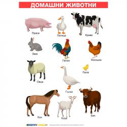 Продукт Office 1 Ученическо табло ''Домашни животни'', ламинирано, 50 x 70 cm, модел 1