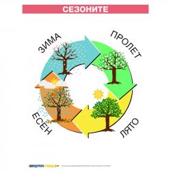 Продукт Office 1 Ученическо табло ''Сезони'', ламинирано, 50 x 70 cm