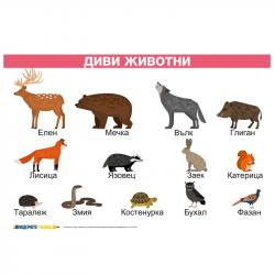 Продукт Office 1 Ученическо табло ''Диви животни'', ламинирано, 50 x 70 cm, модел 1