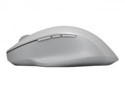 MS-Surface-Precision-Mouse-SC-Bluetooth-IT-PL-PT-ES-Hdwr-LIGHT-GREY