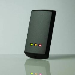 related-product-252826