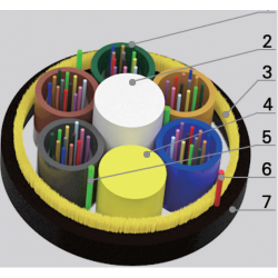 related-product-255461