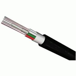 related-product-255466