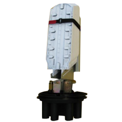 related-product-255820