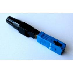 related-product-255850