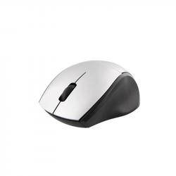 related-product-258887