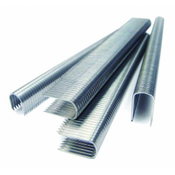 related-product-259244