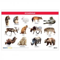 Канцеларски продукт Office 1 Ученическо табло ''Бозайници'', 100 x 70 cm на най-ниска цени