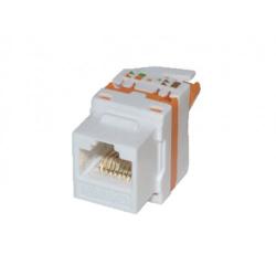 related-product-259759