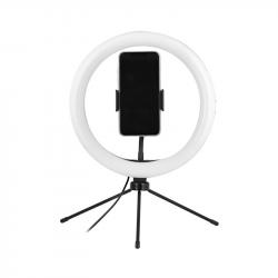 related-product-259947