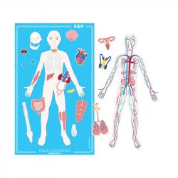 related-product-260028