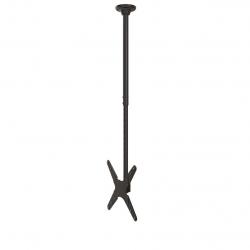 related-product-271384