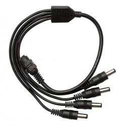 related-product-278909