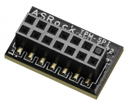 Кабел/адаптер Защитен модул ASRock TPM-SPI, 13 pin
