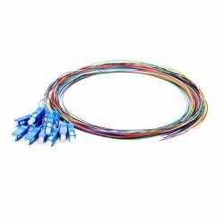 related-product-288095