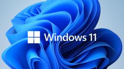 Софтуер Windows 11 Professional 64Bit English Intl 1pk DSP OEI DVD