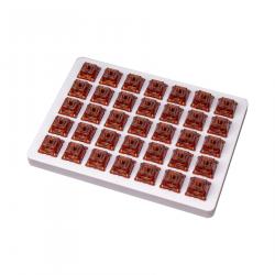 related-product-292869