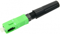 related-product-296940