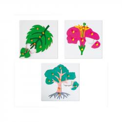 related-product-297333