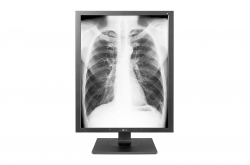 related-product-298011