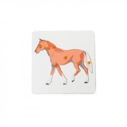 related-product-298450