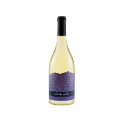 related-product-305216