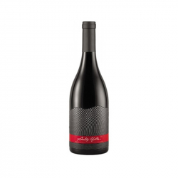 related-product-305217