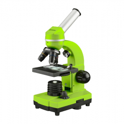 related-product-305556