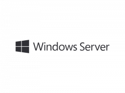 Софтуер FUJITSU DG-DE Kit Windows Server 2019 Standard DOWNGRADE