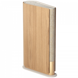 Bluetooth Колонкa Beosound Emerge Gold Tone Alu-Light Oak