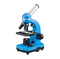 related-product-315891